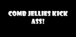 A white text on a black background saying: "Comb jellies kick ass!"
