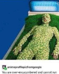 Image of a person covered head to toes in cucumber slices, presumably for therapy.

Tumblr user animeprofilepicfromgoogle says "you are over-encucumbered and cannot run"