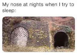 Two tunnels next to each other. One is open, the other is bricked up