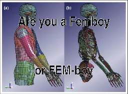 A meme with text above a picture. The picture shows a meshed human body like when it is used for Finite Element Methods. The text reads "are you a femboy or FEM-boy".