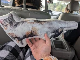 mini body pillow of cat laying sexy like