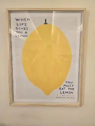 When Life Gives you a Lemon ...