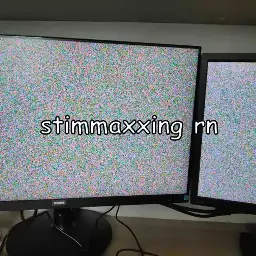 two monitors displaying pure noise with the caption "stimmaxxing rn"