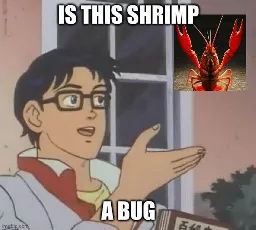 shrimps is bugs