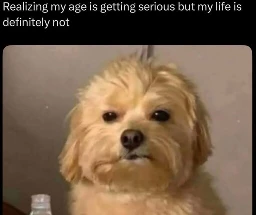 It really is