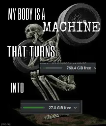 Meme that says: "My body is a machine that turns [screenshot of barely filled hard drive] into [screenshot of almost full hard drive]