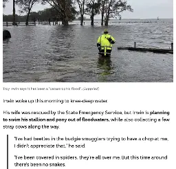 Photo of a farmer in flouro up to his balls in flood water, caption says: Troy Irwin says it has been a "catastrophic flood". (Supplied)  Irwin woke up this morning to knee-deep water.  His wife was rescued by the State Emergency Service, but Irwin is planning to swim his stallion and pony out of floodwaters, while also collecting a few stray cows along the way.      "I've had beetles in the budgie smugglers trying to have a chop at me, I didn't appreciate that," he said.      "I've been covered in spiders, they're all over me. But this time around there's been no snakes.