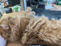 Big orange cat laying in front of my keyboard.