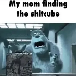 A picture of Sully from Monsters Inc looking distraught at a compressed cube of rubbish captioned with "my mom finding the shitcube".