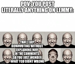 Image shows 10 images of the same bald man, 9 of them smiling and 1 frowning visibly. On the upper side of the image „POV: You post literally anything on Lemmy” is written. Beside the Image of the frowning bald man, „That 1 Guy downvoting without explaining why in the comments, so you just wonder what you did wrong” is written.