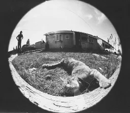A black and white photo of a person standing to the left of of a house with a cat lying on the grass, fish-eye lens