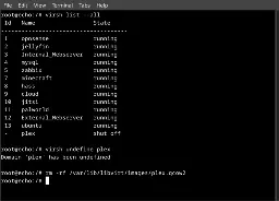 deleting my plex vm via terminal
