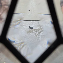 It's a dog poop through glass. 