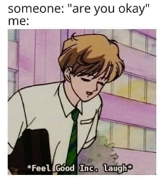 Image of a laughing anime character. Top text reads: "someone: are you okay? Me:". Text on bottom of image reads: "Feel Good Inc. laugh"