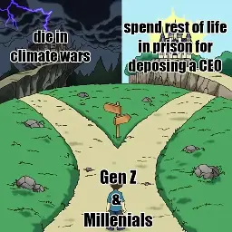 Boy labeled "Gen Z & Millenials" standing at crossroads. Road on the left leads to a decrepit mansion labeled "die in climate wars", road on the right leads to a castle labeled "spend rest of life in prison for deposing a CEO"