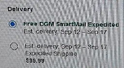 eBay Delivery Shipping Options. Top: free. Bottom: $99.99. Same estimated delivery 