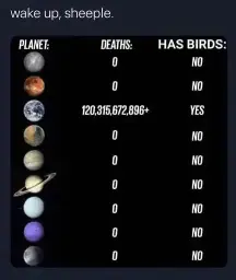 Three columns. 

First column lists the planets. Second column lists deaths. Third column is, "has birds" 

120,315,672,896+ deaths on Earth, with Yes to having birds.

Zero and no everywhere else. Captioned at the top with "Wake up sheeple" 