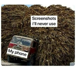 truck overloaded with wood. truck is labeled My phone. wood is labeled Screenshots I'll never use