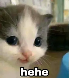 A photo of a small gray and white kitten with its mouth photoshopped into a cute grin saying “hehe”