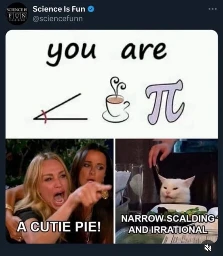 A meme from 'Science Is Fun'. The top section has text reading 'you are' followed by three symbols: an acute angle, a steaming cup of tea, and the mathematical symbol for pi. Below, the classic 'Woman Yelling at a Cat' meme is used. The woman is labeled 'A CUTIE PIE!' while the cat is labeled 'NARROW, SCALDING, AND IRRATIONAL,'