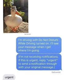texting thread. image of a cute duck with a hat. reply: I'm driving with Do Not Disturb While Driving turnd on. I'll see your message when I get where I'm going. (I'm not receiving notifications. if this is urgent, reply "urgent" to send a notification through with your original message.)" / reply: "urgent"