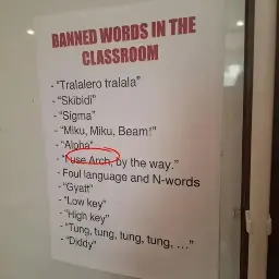 Banned phrase: I use Arch btw