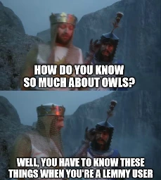How do you know so much about owls? Well, you have to know these things when you're a lemmy user.