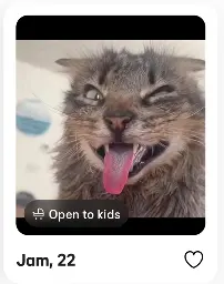 A screenshot of a bumble profile of a cat. One tag says "Open to kids"