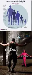 Chart showing average height, but incorrectly scales the entire person instead of just the height, with the Netherlands as the tallest and Indonesians as the shortest. Bottom image is the Bane vs. Pink guy meme showing Bane as the Dutch and Pink guy as the Indonesians. 
