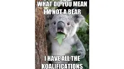 A koala in the center of the image with a line above saying "What do you mean I'm not a bear?", and a line below saying "I have all the koalifications".