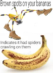 Brown spots on your bananas indicates it had spiders crawling on them