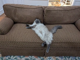 Dumb idiot taking up the whole couch.